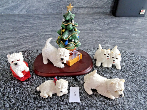 Used westies lot - 5, x