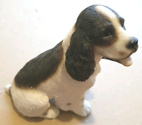 Black and white spaniel - black, dog