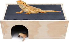 2-In-1 Bearded Dragon Basking