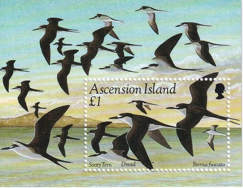 1994 ascension birds sooty - ascension,