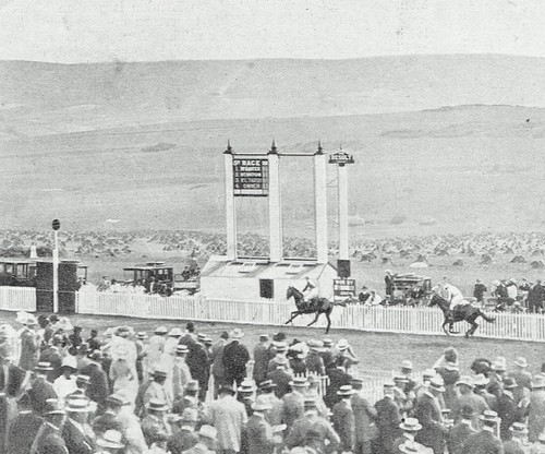 Lewes racecourse summer - lewes,