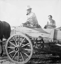 Horse wagon is still a common