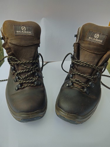 Scarpa terra gtx women - scarpa, brown