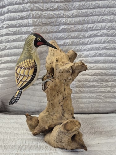 Teak root woodpecker - root,