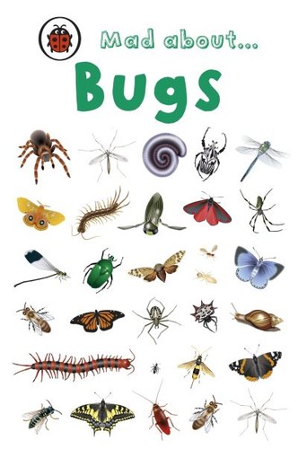 Mad about bugs - bugs, (hardback)