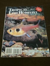 TROPICAL FISH HOBBYIST - THE BLACK NEON TETRA - APRIL 1993