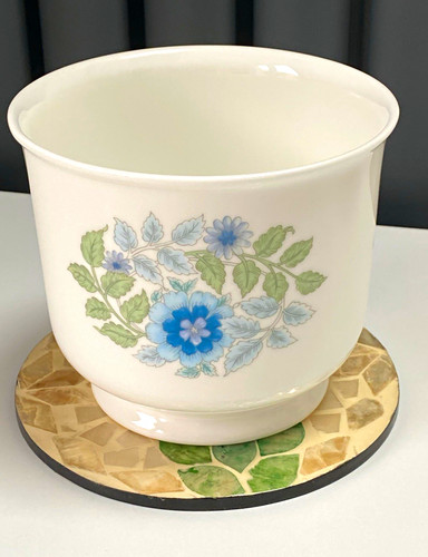 Wedgwood clementine bone china - bone,