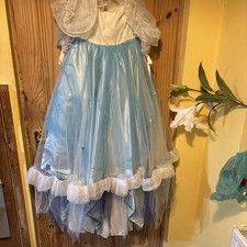 Cinderella panto Fancy Dress