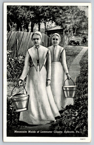 Postcard mennonite maids - postcard,