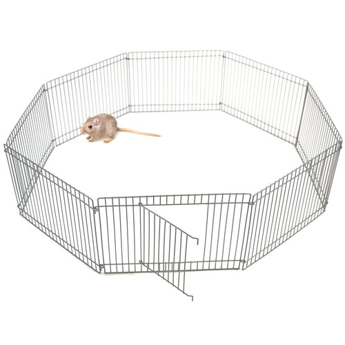 Small pet animal metal - pet, play