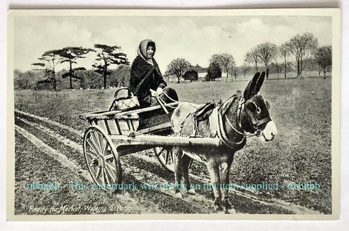 Ireland ready for market - ireland,,
