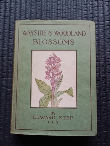 Wayside and woodland blossoms - woodland,