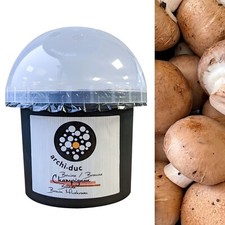 Brown Mushroom Dome Growing Kit - Grow Your Own Button Mushrooms