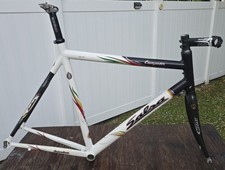 2010 Salsa Campeon Road Bike