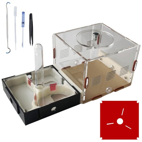 Diy ant farm - terrarium, kit