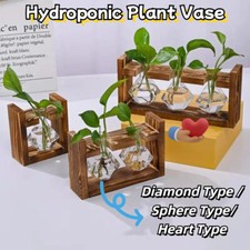 Plant Propagation Station