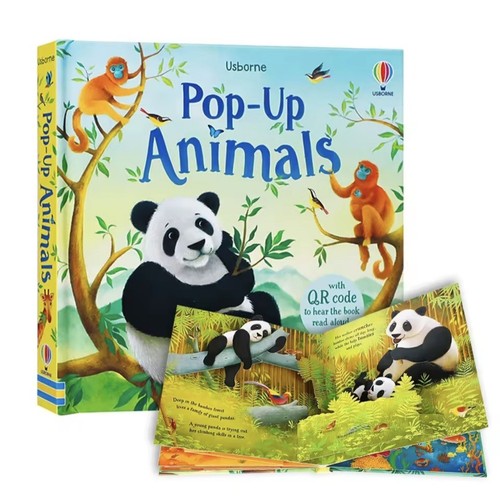 Kids pop flap picture - kids,