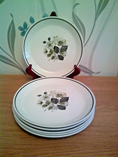 Johnson Brothers -  Wildmoor - Luncheon / Dinner Plates - Set of 6