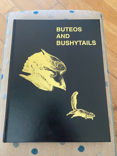 Buteos and bushytails - buteos,