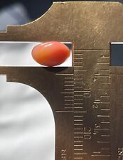 2.9ct Natural Conch Pearl