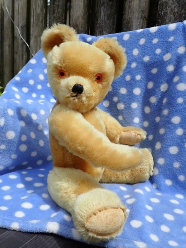 Vintage antique english teddy - vintage,