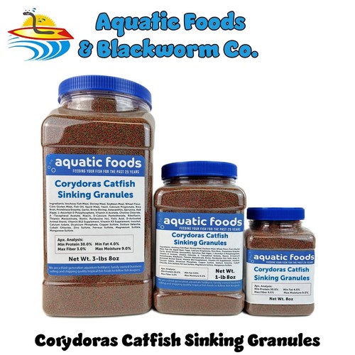 Corydoras catfish loach - catfish,