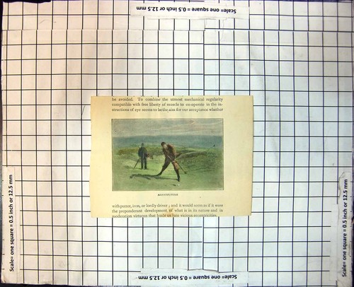 Antique print golf - golf, agriculture