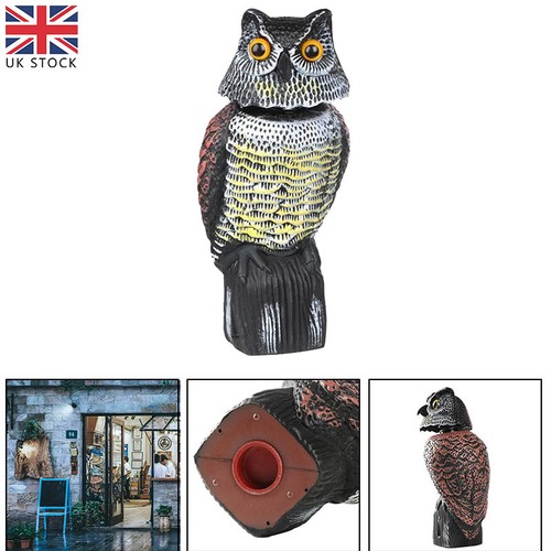 Large realistic owl decoy with - large,