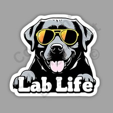 Lab Life Black Labrador
