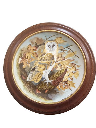 Coalport collector display - coalport,
