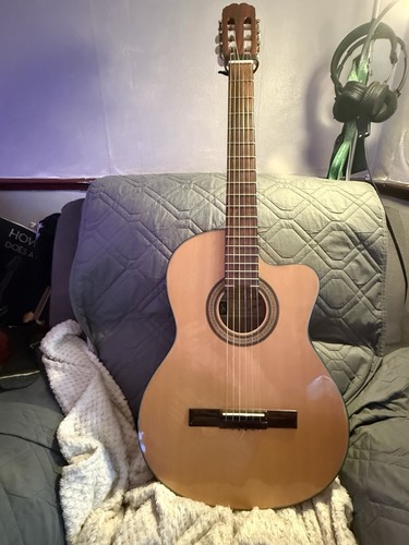 Electro acoustic guitar - electro,