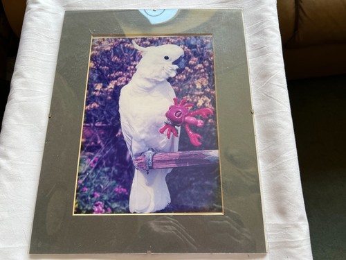 Framed photo silver crested - silver,