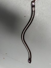 Cavaletti Brown Brown Band