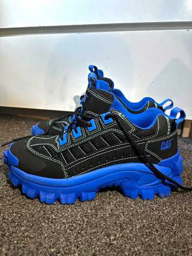Cat safety work shoes - safety,