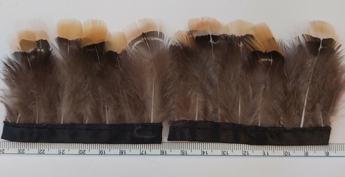 Strip long lady - strip,