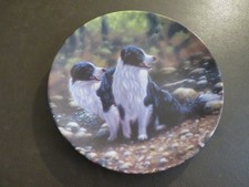 Danbury Mint The Border Collie