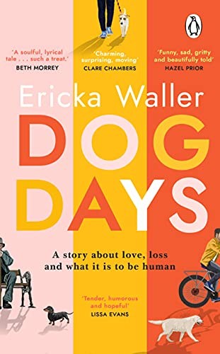Dog days funny warm - dog, funny,