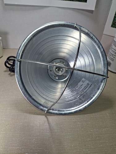 300w brooder work - brooder, light
