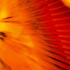 Rangers The Complete Record