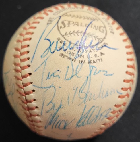 Chicago cubs 1977 team - 1977, signed