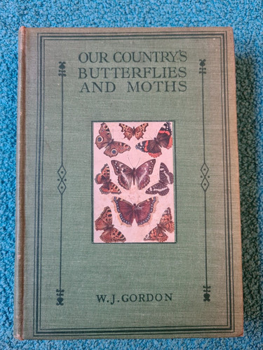 Our country butterflies - our,