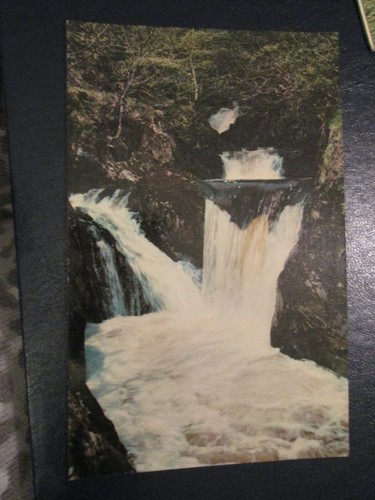Postcard pecca twin falls - pecca,