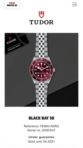 Tudor black bay burgundy - black,