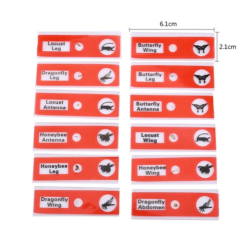 12pcs plastic prepared - 12pcs,