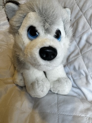 Husky dog plush toy white - dog,