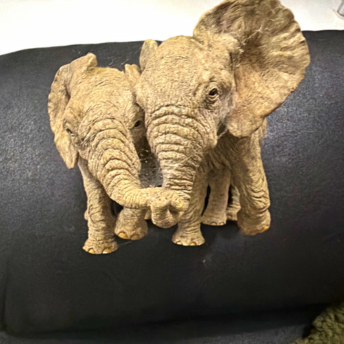 Tuskers matthew luke hand - &,
