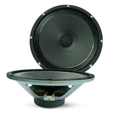 10 Inch Guitar Speaker 60W