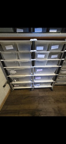 Snake rack with - snake, thermostat