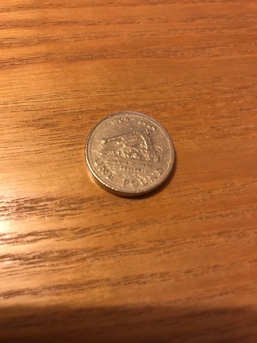 Pound collectors coin - pound,