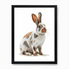 English Spot Rabbit Kids